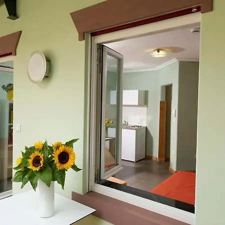 Heidelberg Rooms דירה היידלברג